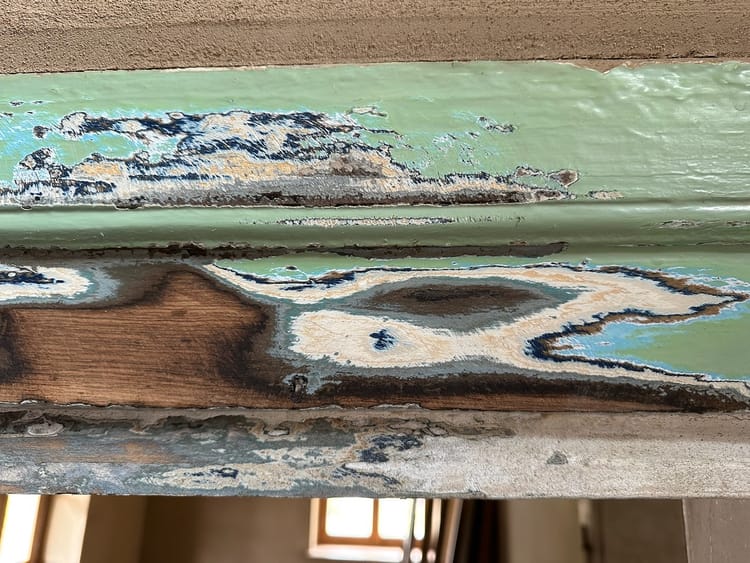 Tag 1237: Der Lack ist ab ...